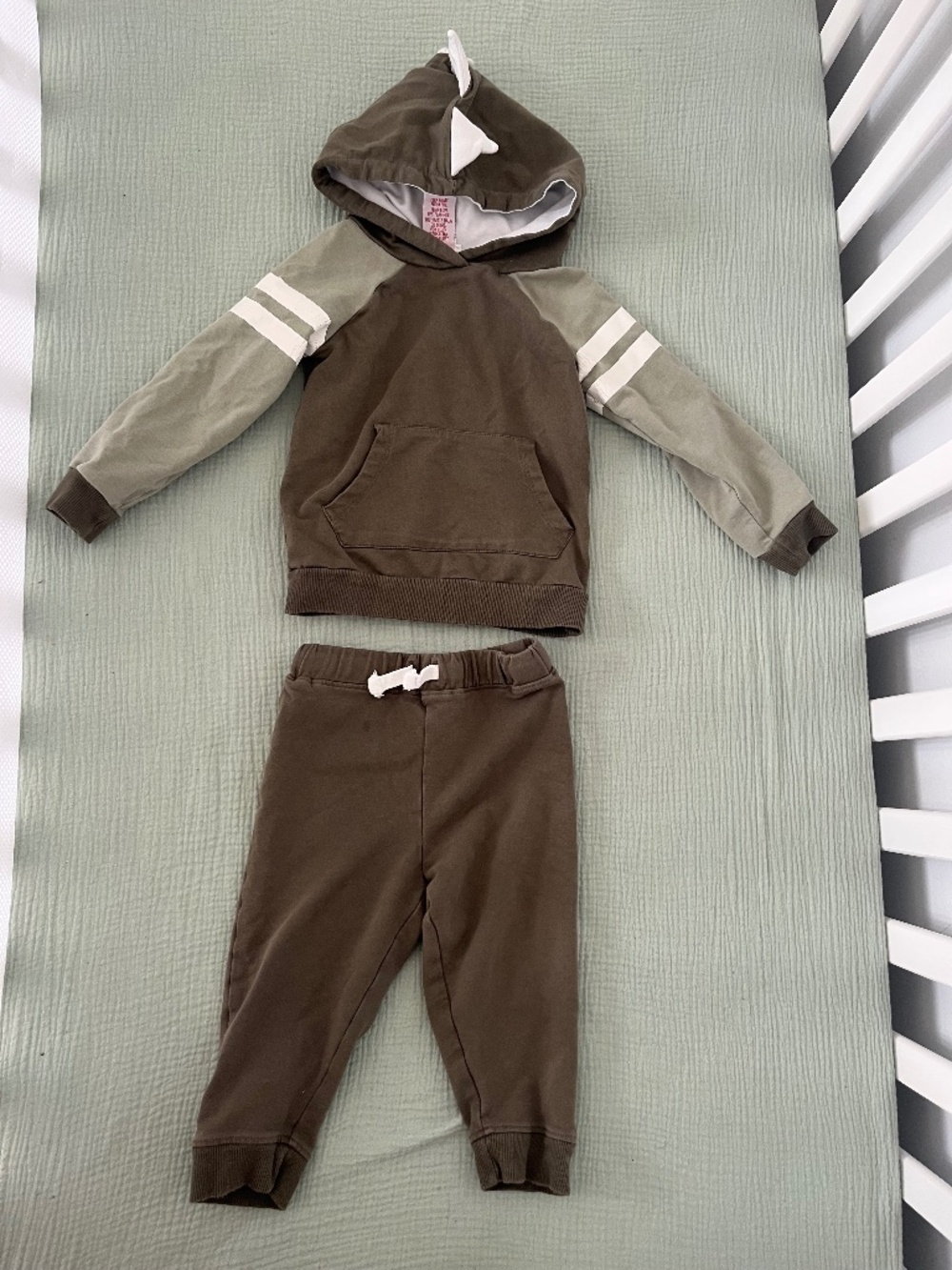 Cute matching dinosaur sweatpants set for toddler boys (24M)